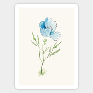 Blue Poppy Sketch in Pen, Ink and Watercolor Sticker